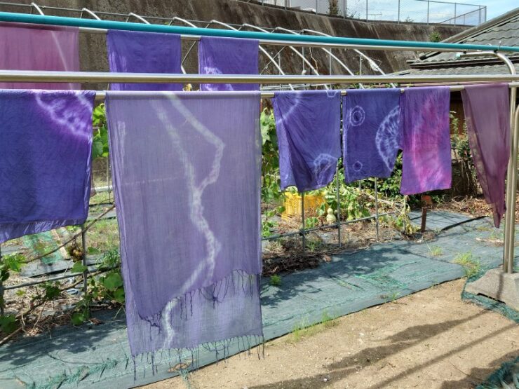 2023ブルーベリー染め